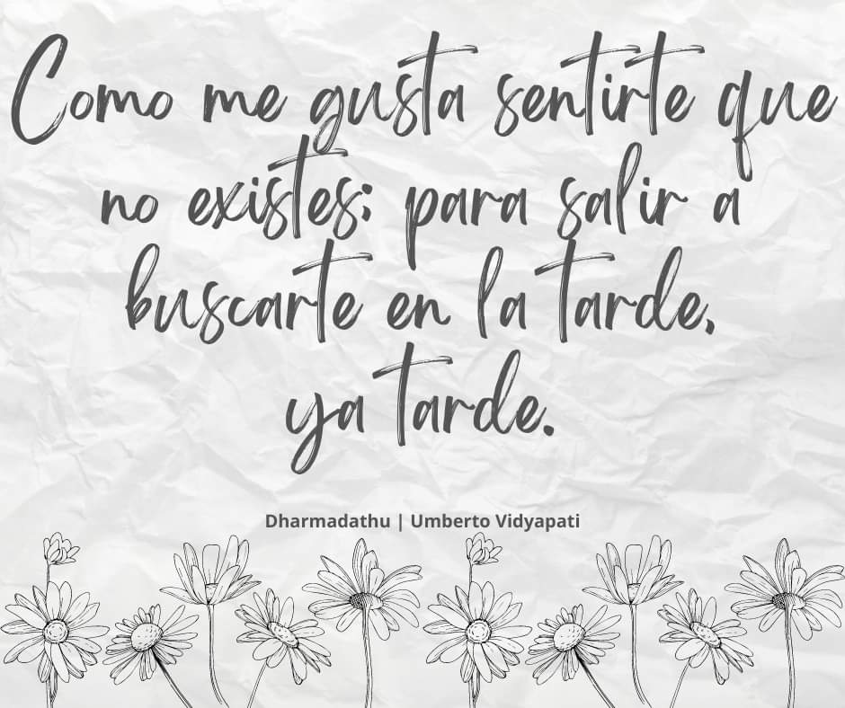 la_errante's tweet photo. Buen día y buen inicio de semana. https://t.co/AjMhhh95r3