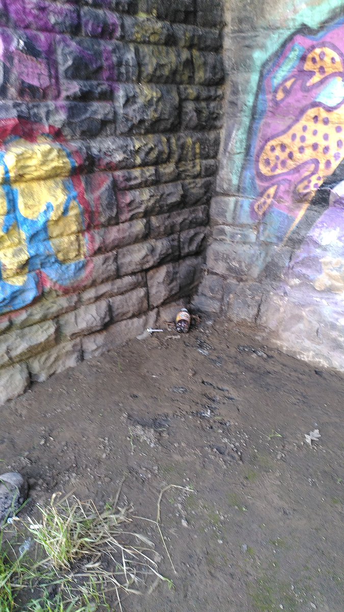 Keep Riverside Tidy tweet media