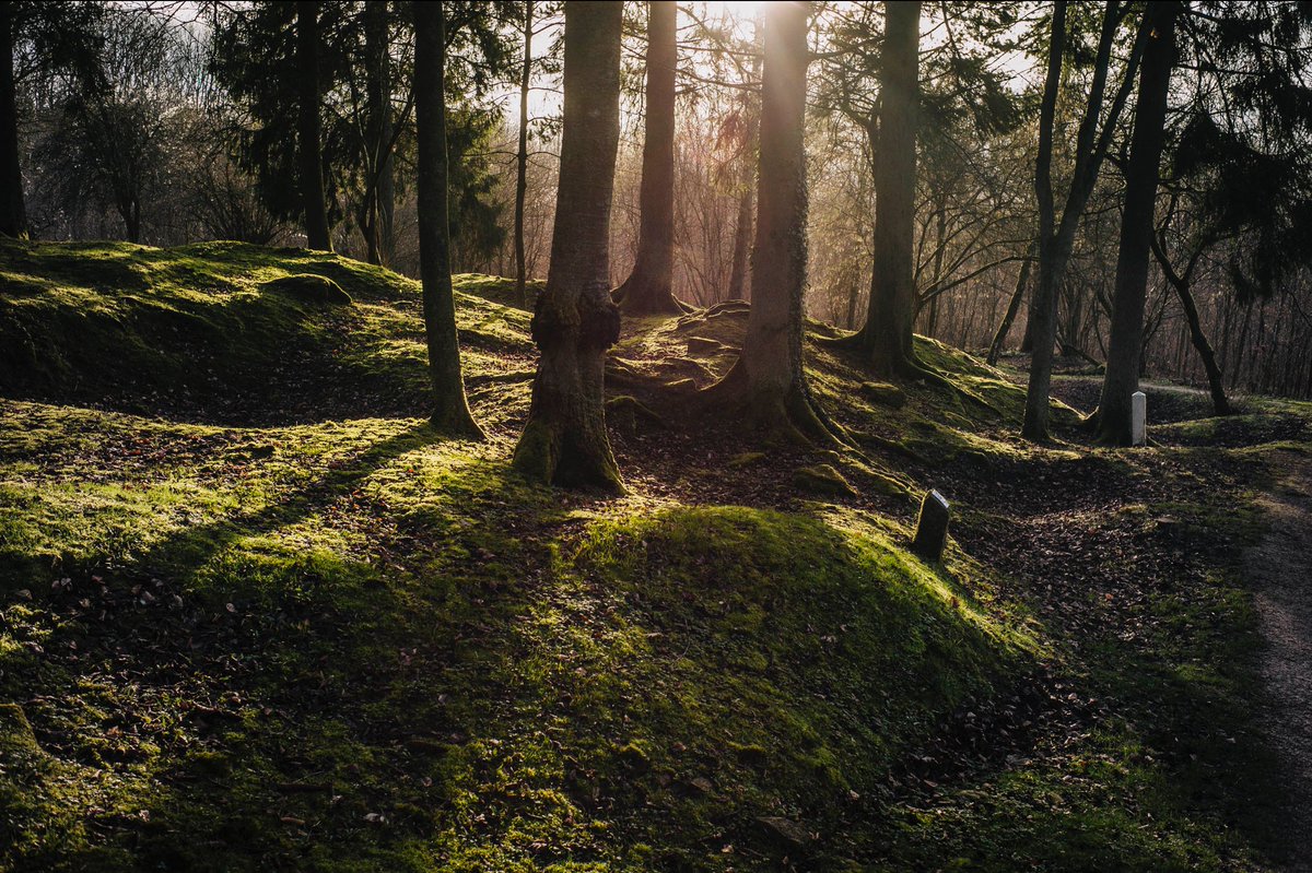 En ce jour d'armistice, une des photos de là où je suis né, prise près de Verdun, en 2016. 

Ce que vous voyez là n'est pas naturel.

Ce sont les stigmates d'intenses bombardements et quelques arbres, de l'herbe et de la mousse qui ont repoussé depuis, un siècle plus tard.