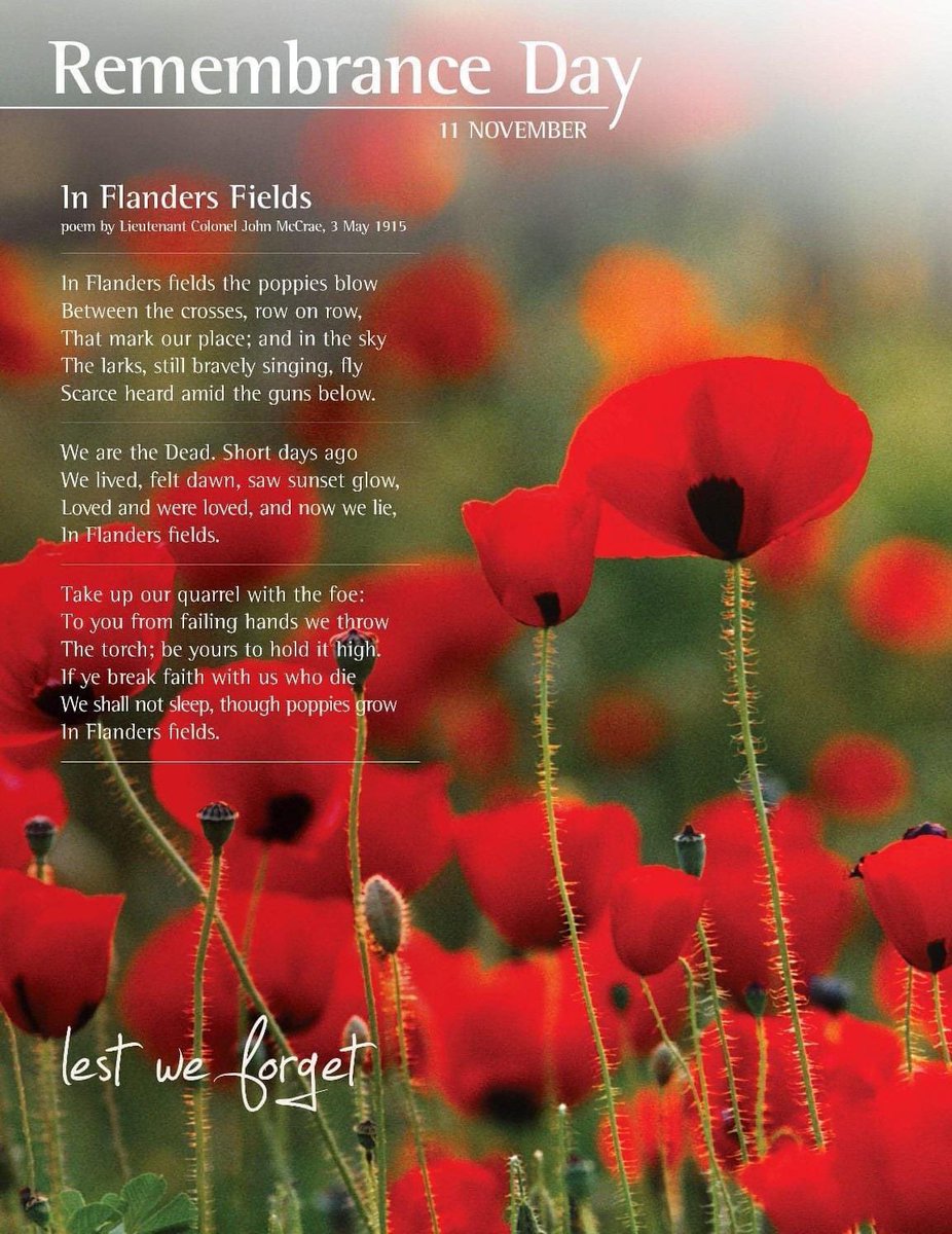 #RemembranceDay2024 
#poppy 
#JohnMcCrae
#Canadianarmedforces
#PrincessPatricias