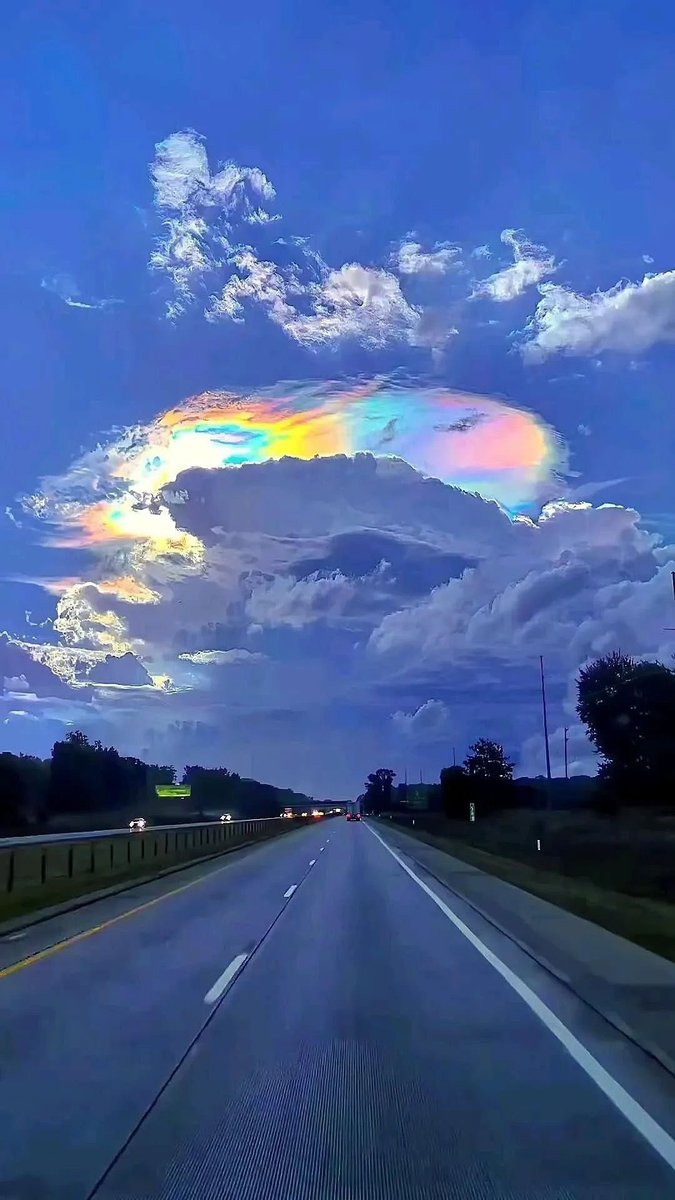 𓆩♡𓆪 tweet media