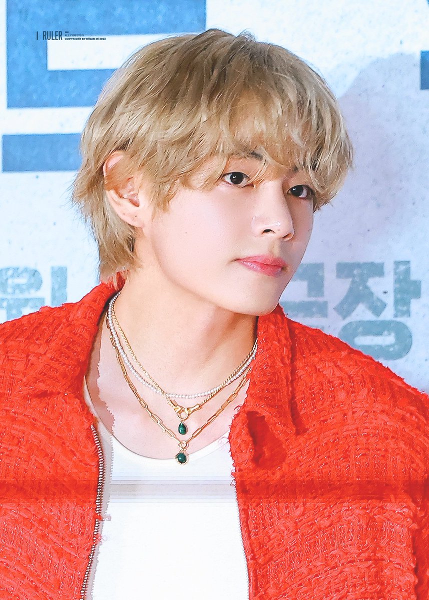 I vote #V for #2024MAMAvote