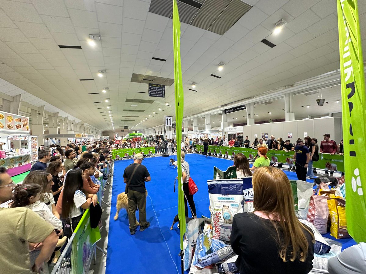 🐾 ¡Éxito total en la Exposición Internacional Canina y Felina en IFEPA! 🎉 Más de 12.000 personas disfrutaron de competiciones, exhibiciones y la primera Exposición Internacional Felina en Murcia.  🐶🐱 #IFEPA #Mascotas