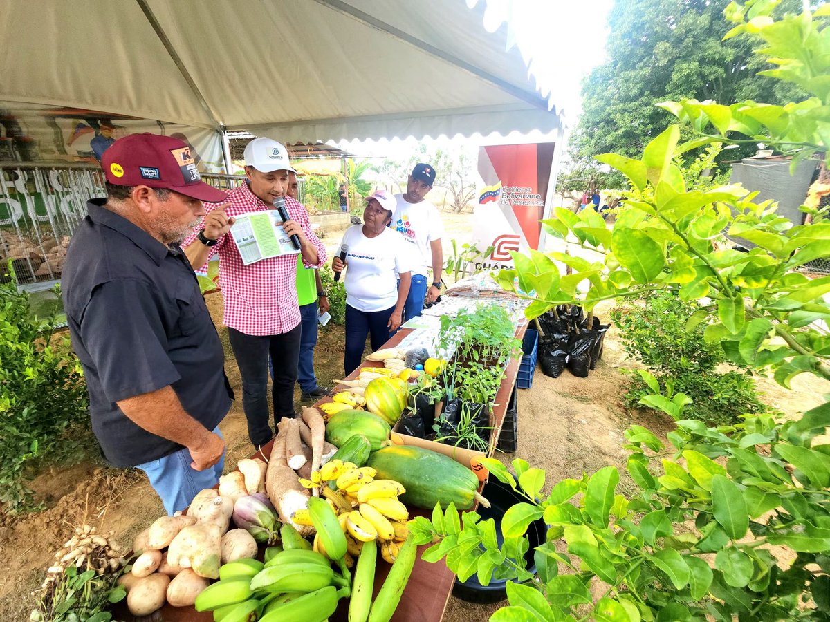 ¡Buenas nuevas en materia productiva! Desde el municipio Julián Mellado, específicamente desde la parcela El Esfuerzo, hemos llevado a cabo la entrega de los certificados de los Kits del Plan Produce tu Conuco a 53 circuitos comunales electorales del estado Guárico.