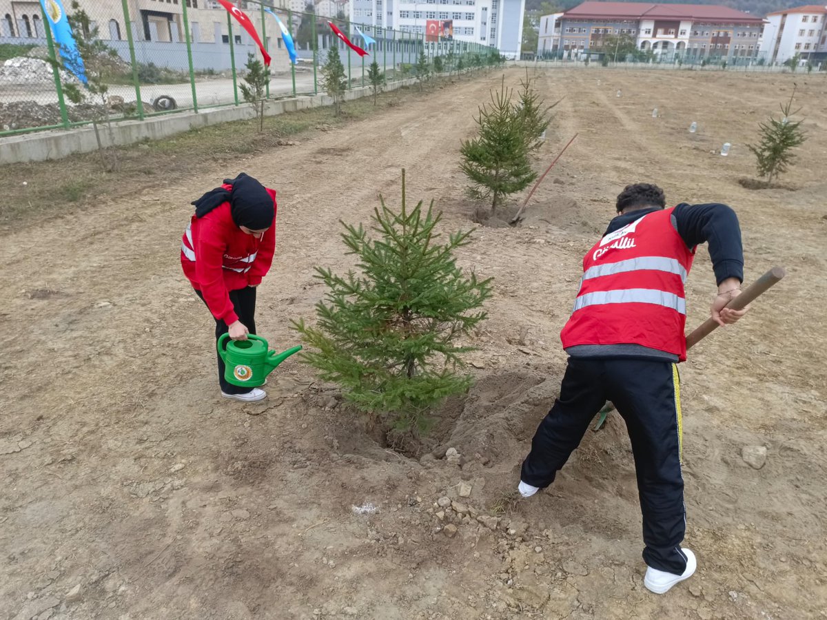 genckizilaybeu_'s tweet photo. 11 Kasım Milli Ağaçlandırma gününde bizde Geleceğe birer nefes olduk.🌿 https://t.co/u4iRfmtds2