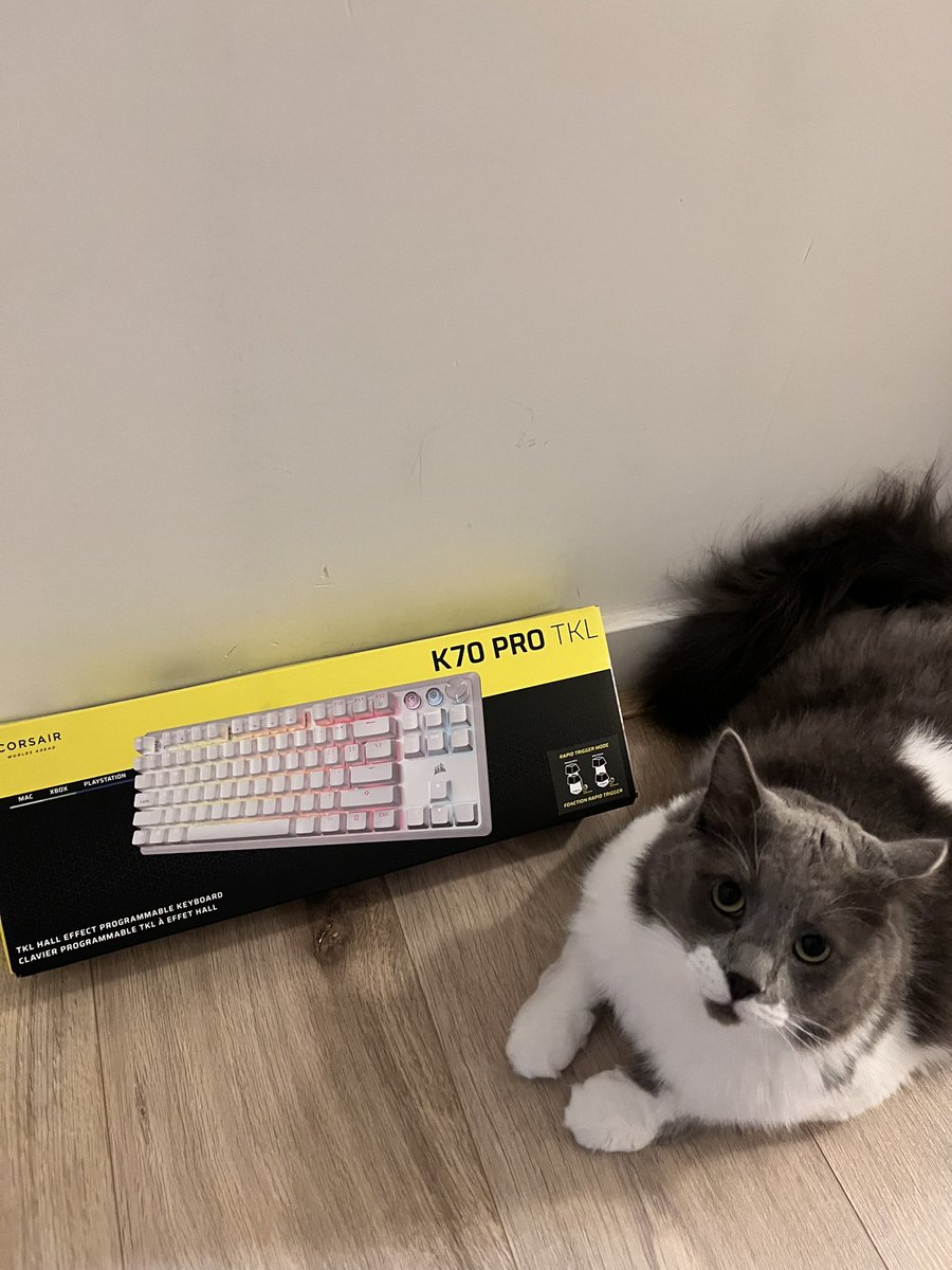 D0cC_csgo's tweet image. Thanks for the new K70 pro tkl @CORSAIR 
Trying it out later on stream ✌️