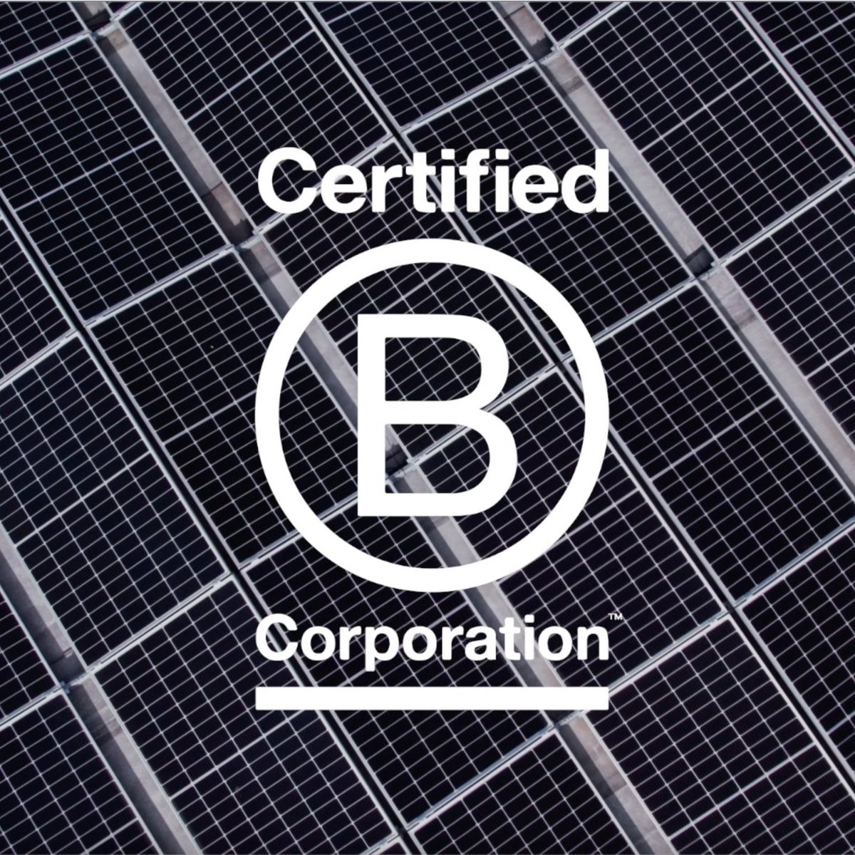 EES Group have been B Corp Certified for a year now.  We are proud to be part of a global movement of businesses committed to using our power to prioritise people and the planet.

To read more about EES Group as a B Corporation, visit our website - eesgroup.co.uk/b-corp/

#BCorp