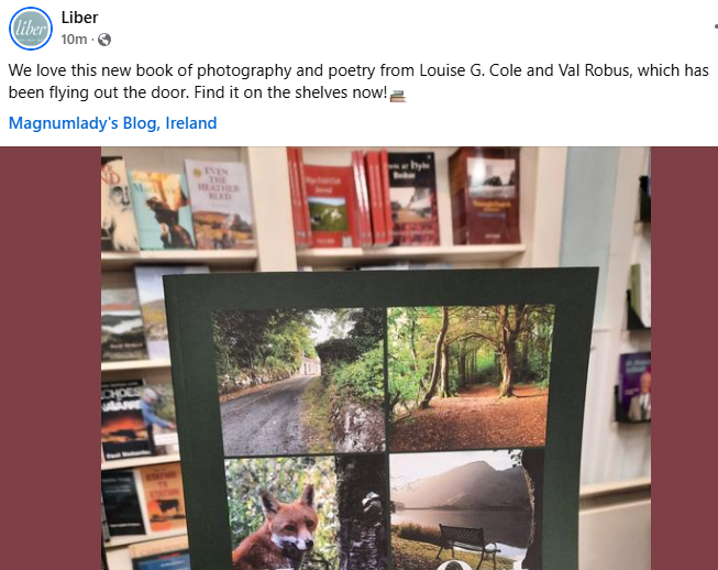 magnumlady's tweet photo. Happy Out is flying out of @libersligo! 
Thanks so much to everyone who has bought a copy. 
I'll be in later this week with more. https://t.co/Zkv1NjxHSY