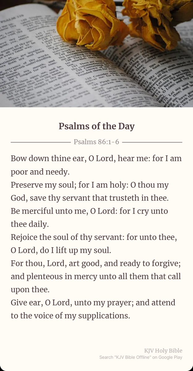 Dorothy (@dottieofgod) on Twitter photo 