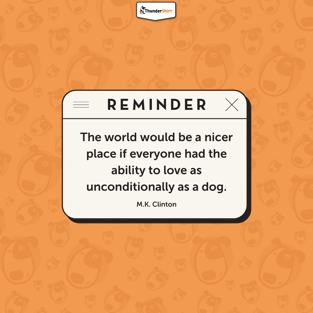 Truer words have never been spoken about our furr-ever best friends 🐶❤️