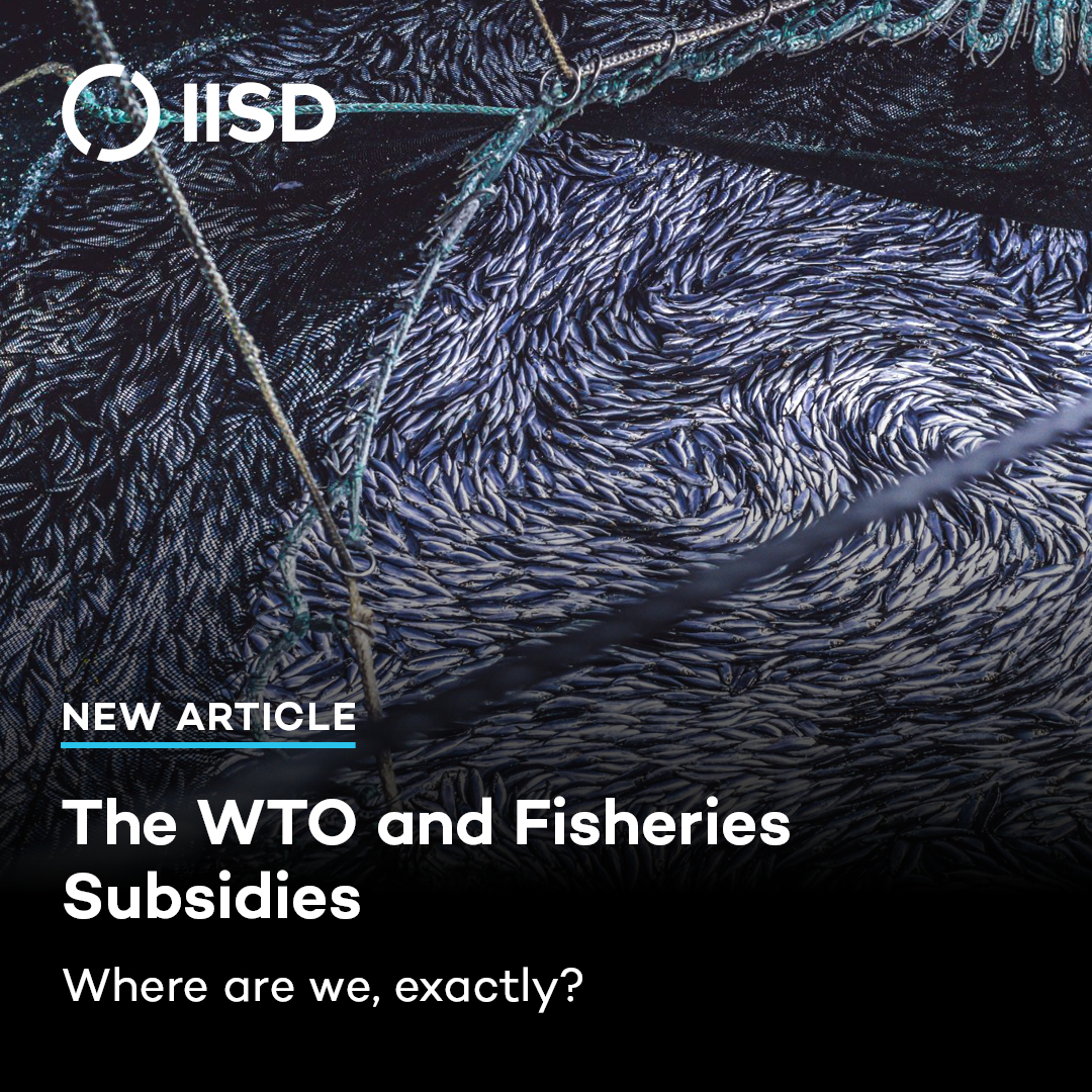 In 2022, governments adopted the <a href="/wto/">WTO</a> Agreement on Fisheries Subsidies but talks continue 🎣

What’s at stake and how much progress has been made? 🐟 <a href="/TristanIrschli/">Tristan Irschlinger</a> breaks down the current negotiations: iisd.org/articles/deep-…