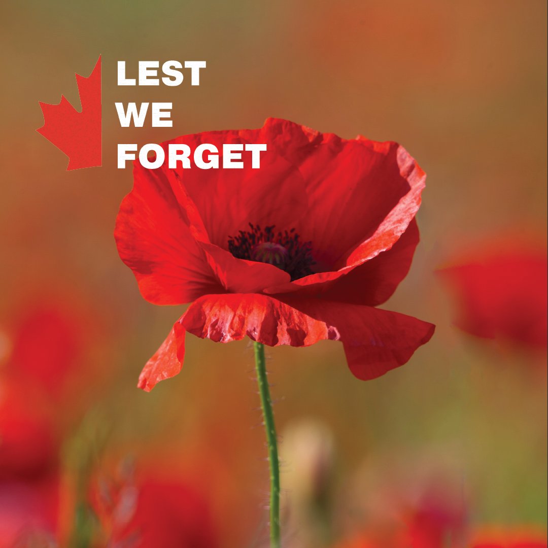 Tire Discounter Group tweet media