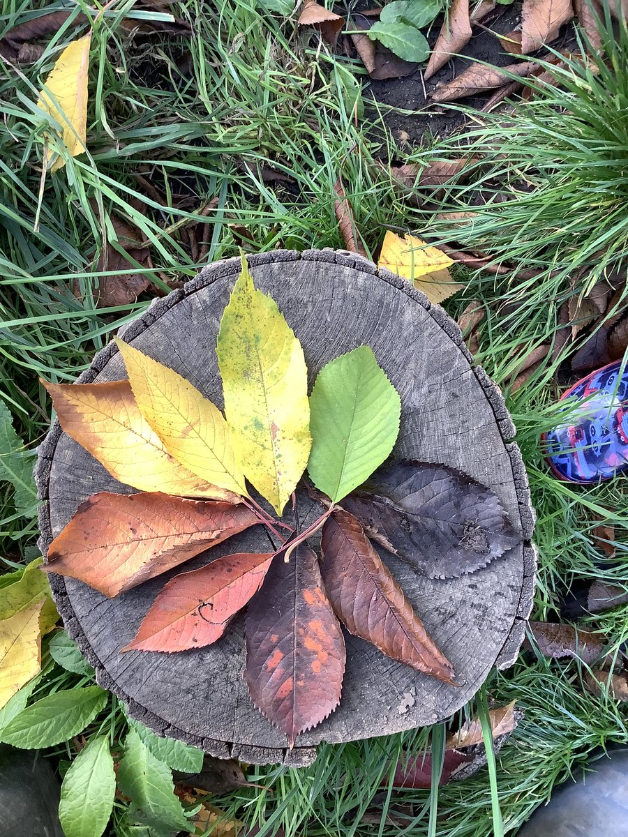 ChallonerEYFS's tweet photo. #ForestSchool #EYFS #UnderstandingTheWorld https://t.co/5hi4gAmgTk