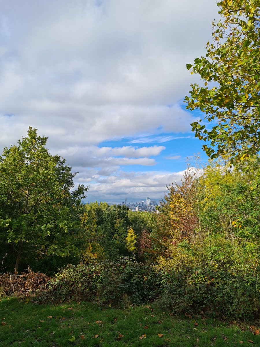 danhancox's tweet image. I&apos;m doing two free events in November! One a guided walk of One Tree Hill&apos;s riotous history, and one a free MULTITUDES talk @UniWestminster with @andrewsmithwest - find out about both here  open.substack.com/pub/danhancox/…