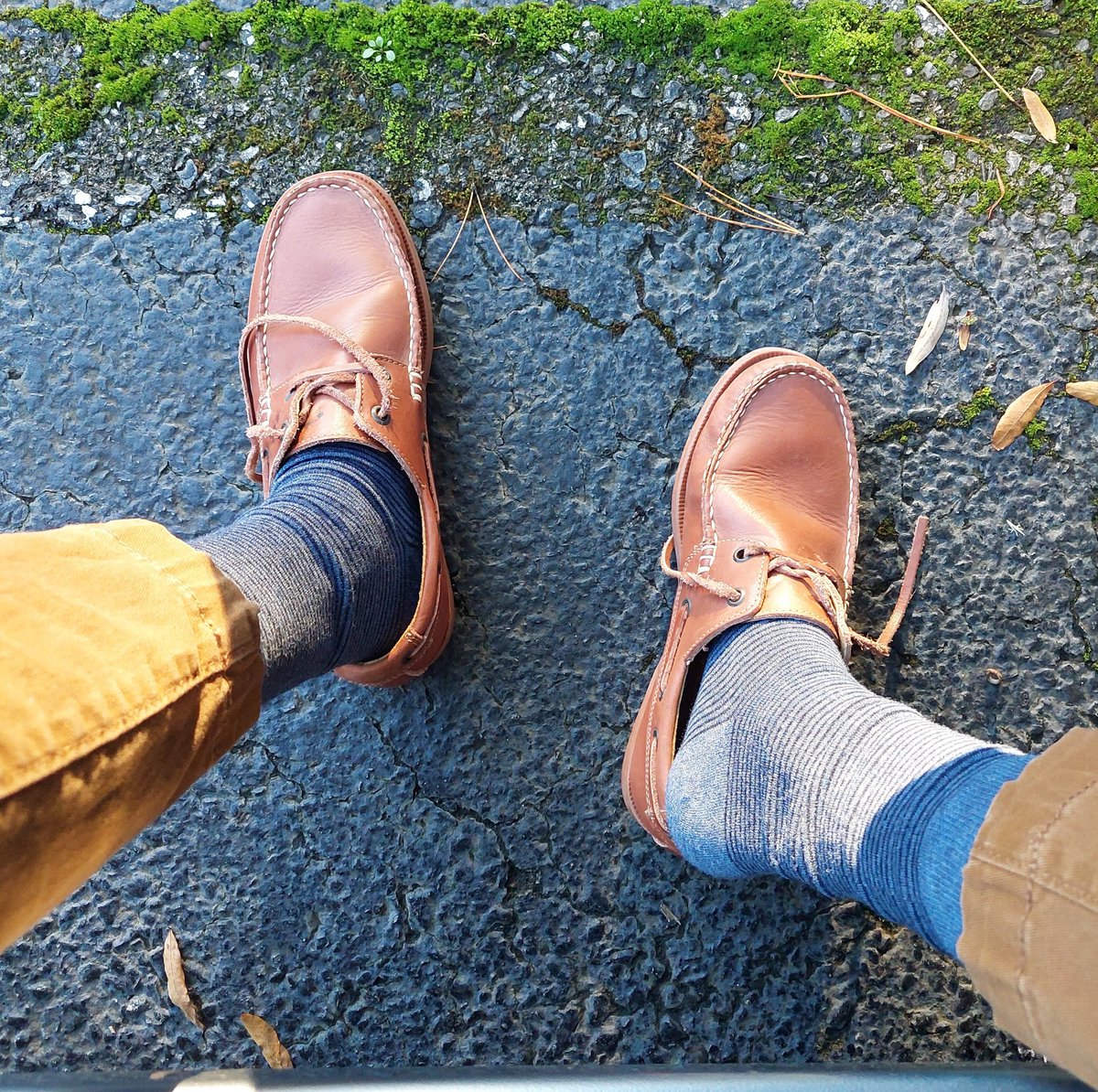 No salgan de casa sin amarrarse las agujetas.

Buenos días.