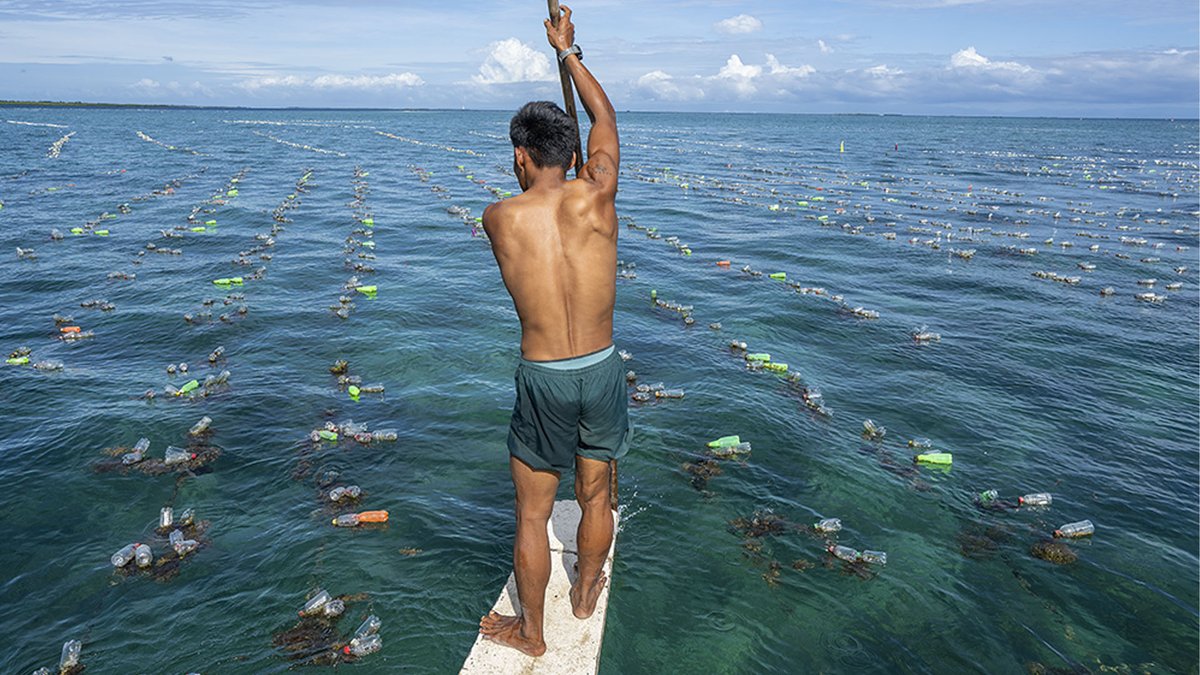 Reuters Events Sustainable Business (@revents_sustbiz) on Twitter photo Comment: We need a wave of finance to protect the ocean, not a trickle. That tide is now turning. Read comment by Marisa Drew, CSE at <a href="/StanChart/">Standard Chartered</a>. <a href="/EarthshotPrize/">The Earthshot Prize</a> <a href="/bound4blue/">bound4blue</a> <a href="/Bubble_Barrier/">The Great Bubble Barrier®</a> <a href="/coast4c/">Coast 4C</a> <a href="/abalobi_app/">ABALOBI</a> #BlueEconomy <a href="/tslavinm/">Terry Slavin</a> @LiamDowd10
reuters.com/sustainability… Comment: We need a wave of finance to protect the ocean, not a trickle. That tide is now turning. Read comment by Marisa Drew, CSE at <a href="/StanChart/">Standard Chartered</a>. <a href="/EarthshotPrize/">The Earthshot Prize</a> <a href="/bound4blue/">bound4blue</a> <a href="/Bubble_Barrier/">The Great Bubble Barrier®</a> <a href="/coast4c/">Coast 4C</a> <a href="/abalobi_app/">ABALOBI</a> #BlueEconomy <a href="/tslavinm/">Terry Slavin</a> @LiamDowd10
reuters.com/sustainability…