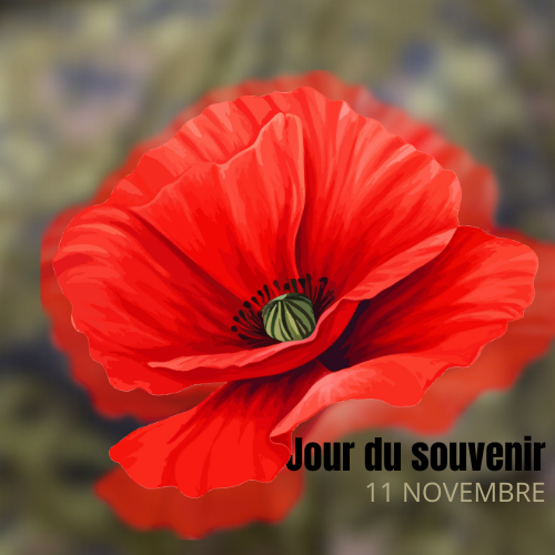 En ce 11 novembre, l'AFOCSC se joint à la communauté pour rendre hommage à tous ceux qui ont servi notre pays et à ceux qui continuent de le faire. Nous nous souvenons avec gratitude des sacrifices faits par tant de courageux Canadiens, et nous honorons leur mémoire.