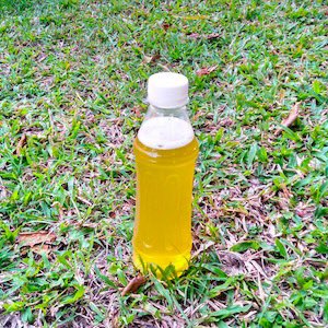 The Hollywood Handle tweet media