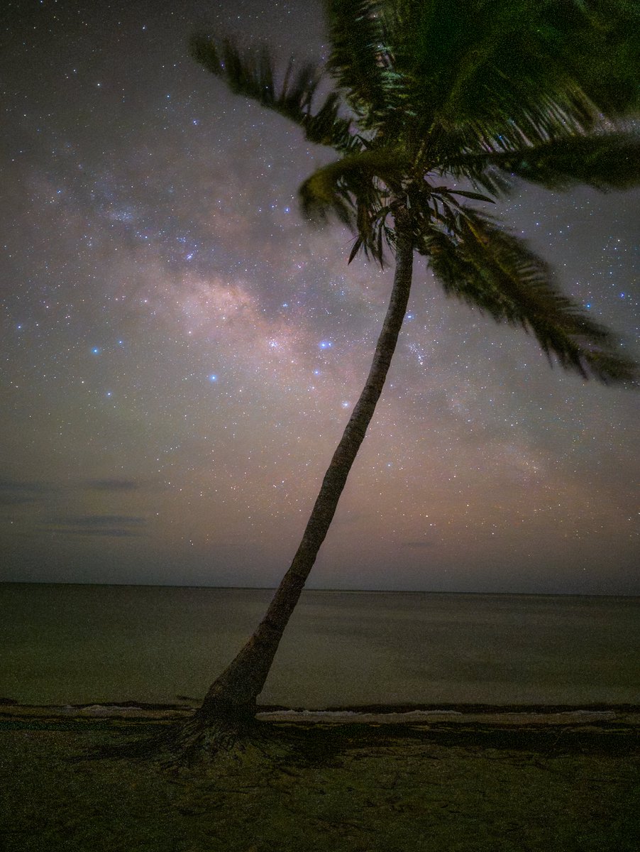 Jack Fusco tweet media