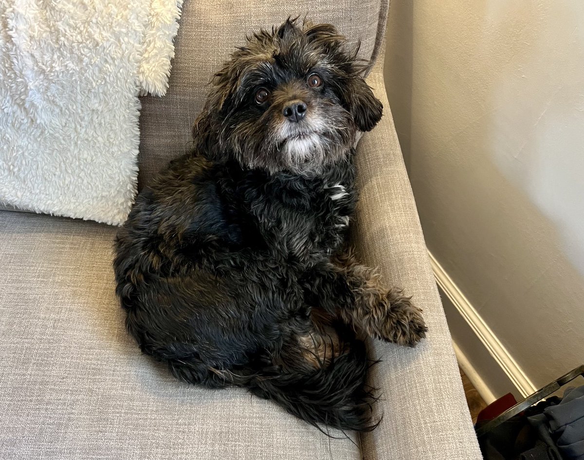 Eli McCann tweet media