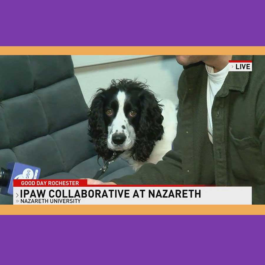 Nazareth's trio of therapy dogs spent a morning with 13WHAM reporter Chris Lopez and showed viewers why Orion, Rosie, and Orion are an integral part of the Nazareth community. 
foxrochester.com/news/good-morn…