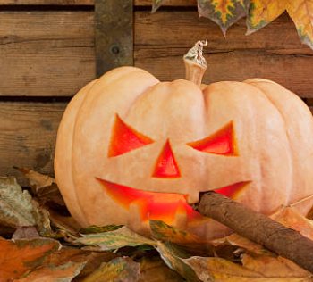 The Darling House tweet media