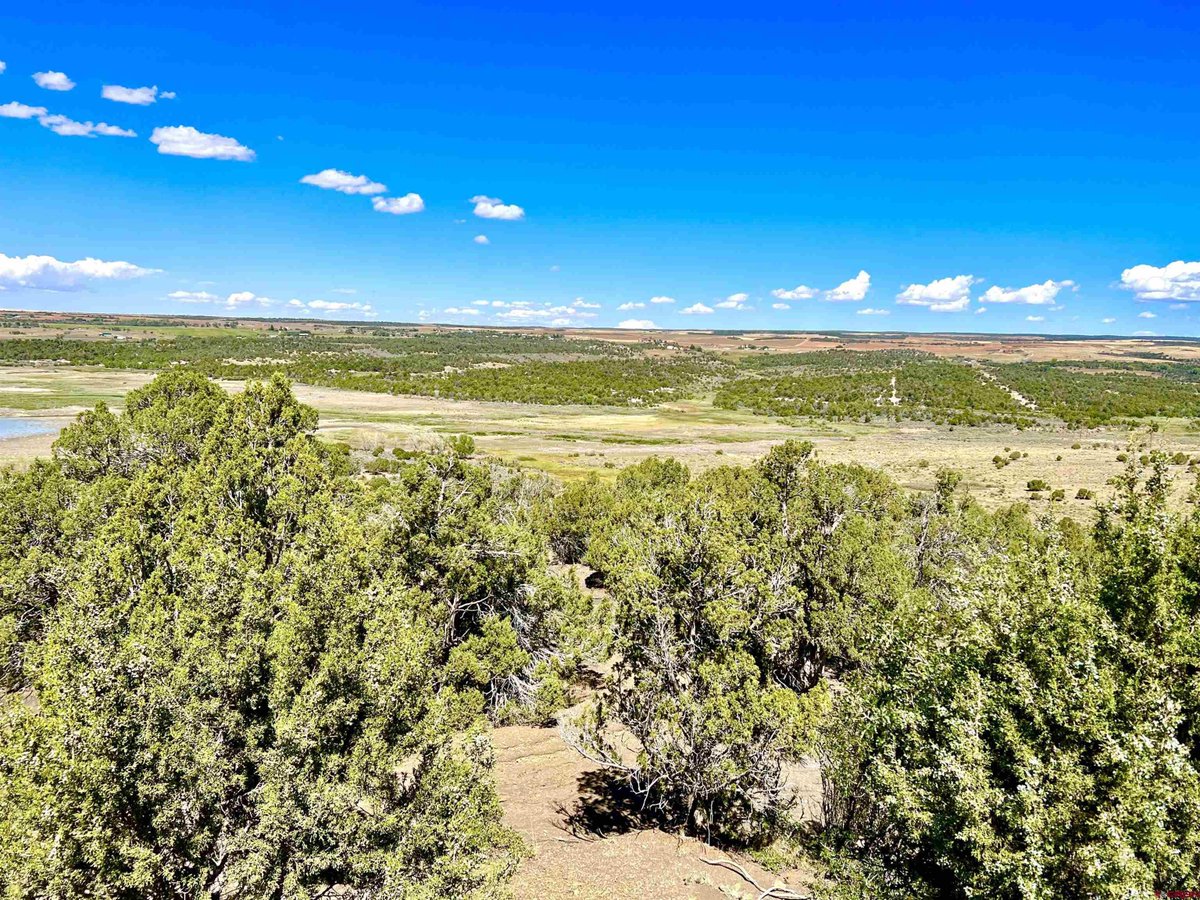 ancapbarbie's tweet image. I have 12.8 acres between two reservoirs in southwest Colorado for sale. End of the road, private, quiet, 10 minutes to Dolores, 20 to Cortez, double-rainbows included.
Asking $145k.
Contact the listing agent for info, a showing, or to make an offer.
century21.com/real-estate/do…