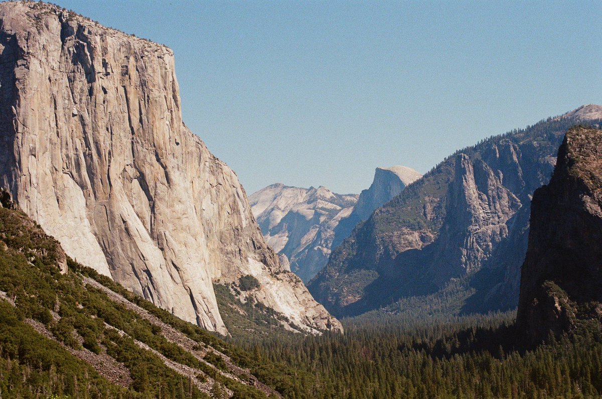 Shay Stamps tweet media