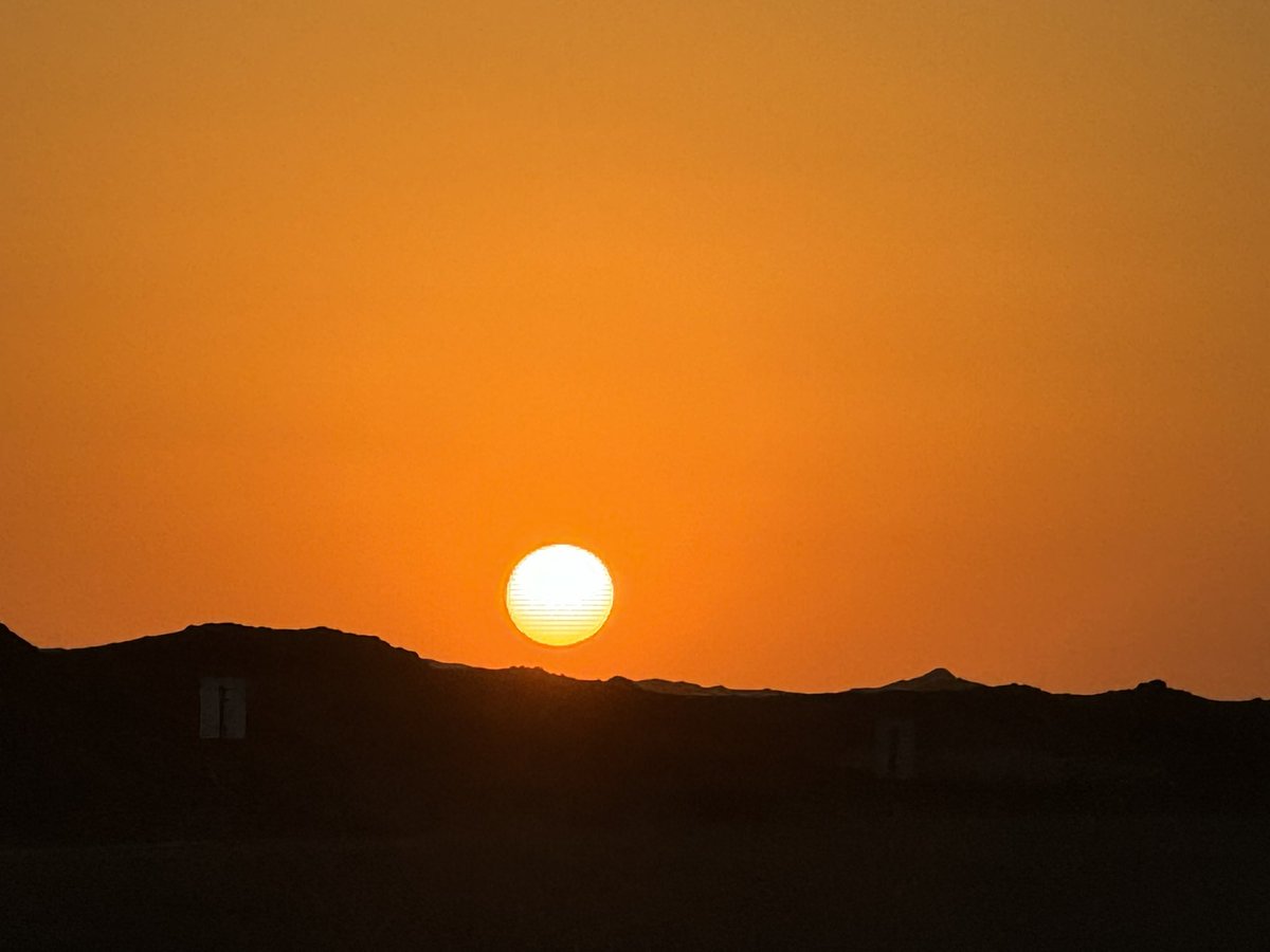 Halleluya Ekandjo tweet media