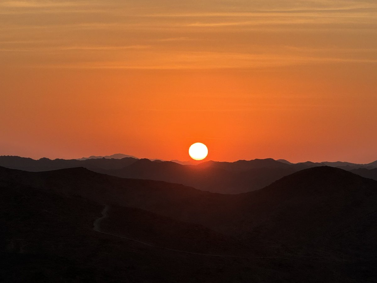 Halleluya Ekandjo tweet media