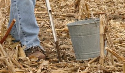 Iowa Soybean Research Center (@isu_soycenter) on Twitter photo ISRC Co-director <a href="/GregTylkaISU/">Greg Tylka</a> explains why "Fall is a Great Time to Collect Soil Samples for SCN" >>
crops.extension.iastate.edu/blog/greg-tylk…
<a href="/TheSCNCoalition/">The SCN Coalition</a> <a href="/IowaSoybeans/">IowaSoybeans</a> ISRC Co-director <a href="/GregTylkaISU/">Greg Tylka</a> explains why "Fall is a Great Time to Collect Soil Samples for SCN" >>
crops.extension.iastate.edu/blog/greg-tylk…
<a href="/TheSCNCoalition/">The SCN Coalition</a> <a href="/IowaSoybeans/">IowaSoybeans</a>