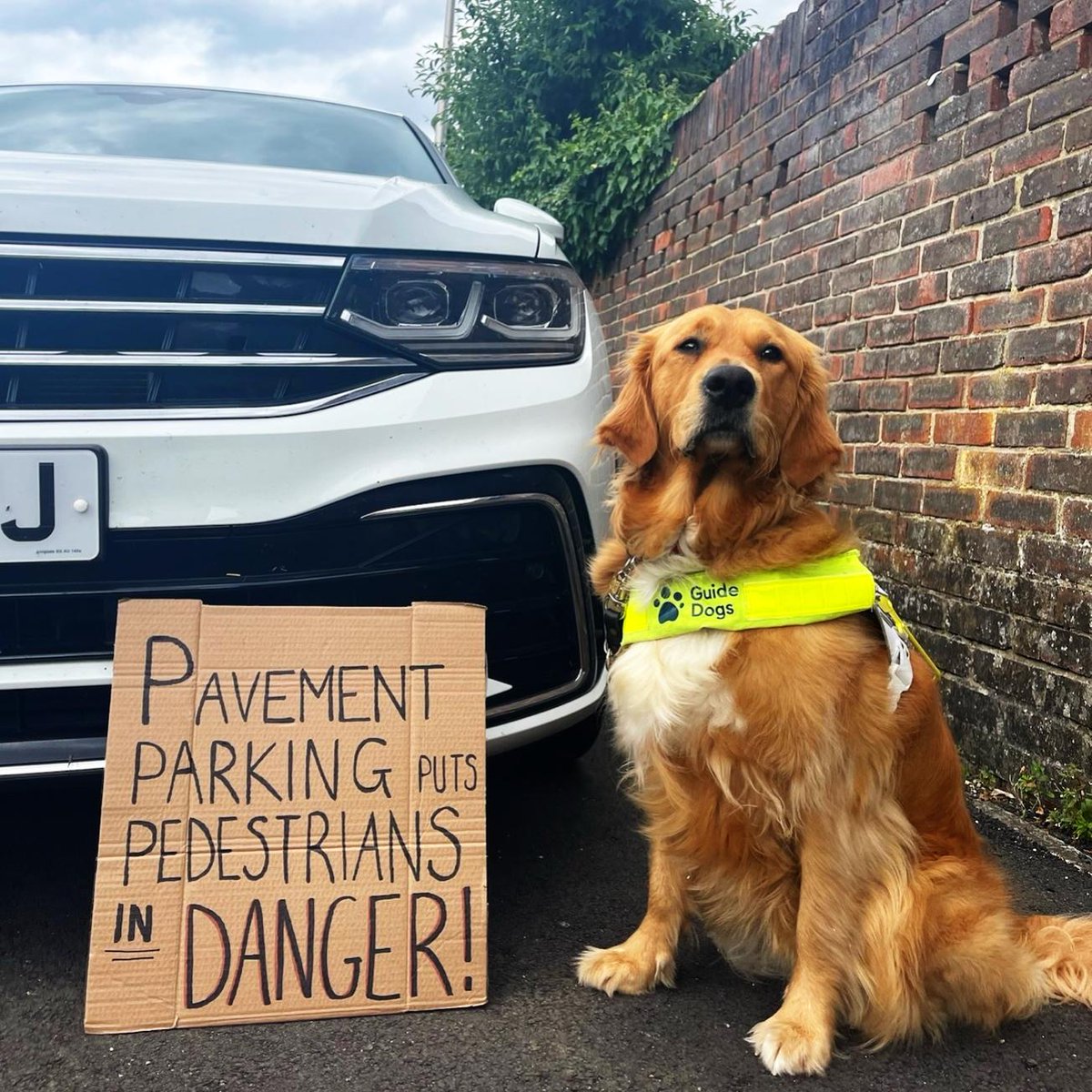 This December we'll be talking to MPs in Parliament about our pavement parking campaign, and how they can get involved🚗

Will you ask your MP to come along? 👉bit.ly/3O5iGNk (1/2) 👇