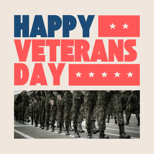 NewVisionsFiber's tweet photo. Happy Veterans Day https://t.co/SmqNmQn8Wo