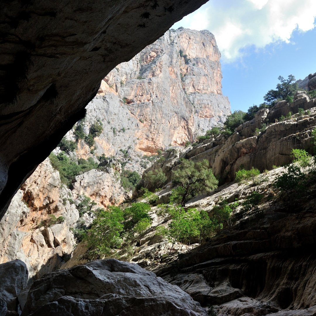🏞️ Esplorare la Gola di Gorropu è un’avventura tra pareti maestose e paesaggi mozzafiato. Un tesoro naturale.

🧳 Scopri altri consigli per #viaggiinauto sul blog #Informaviaggi ➡️ buff.ly/3yaPe4j 

#ontheroad
