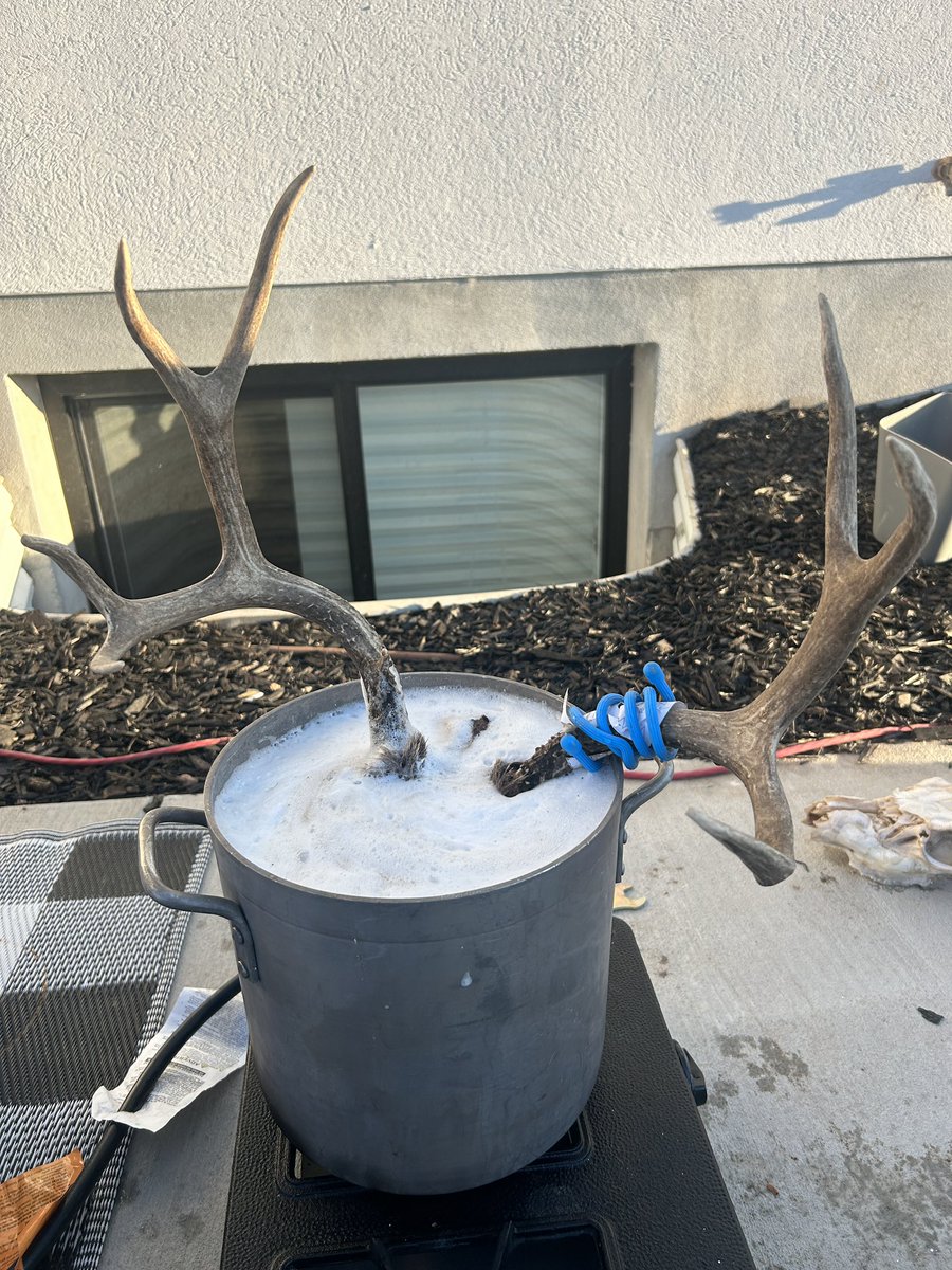 adam_buchanan's tweet photo. Good to be back. Just over here boiling buck skulls, beetlejuicing, Halloween surfing, and our annual Oregon trip. 

Oh and Trump won! Good. https://t.co/hhmWn9THxn