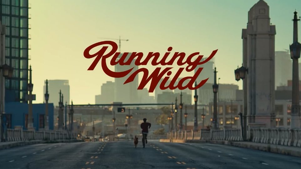 Running Wild by Jin (2024)