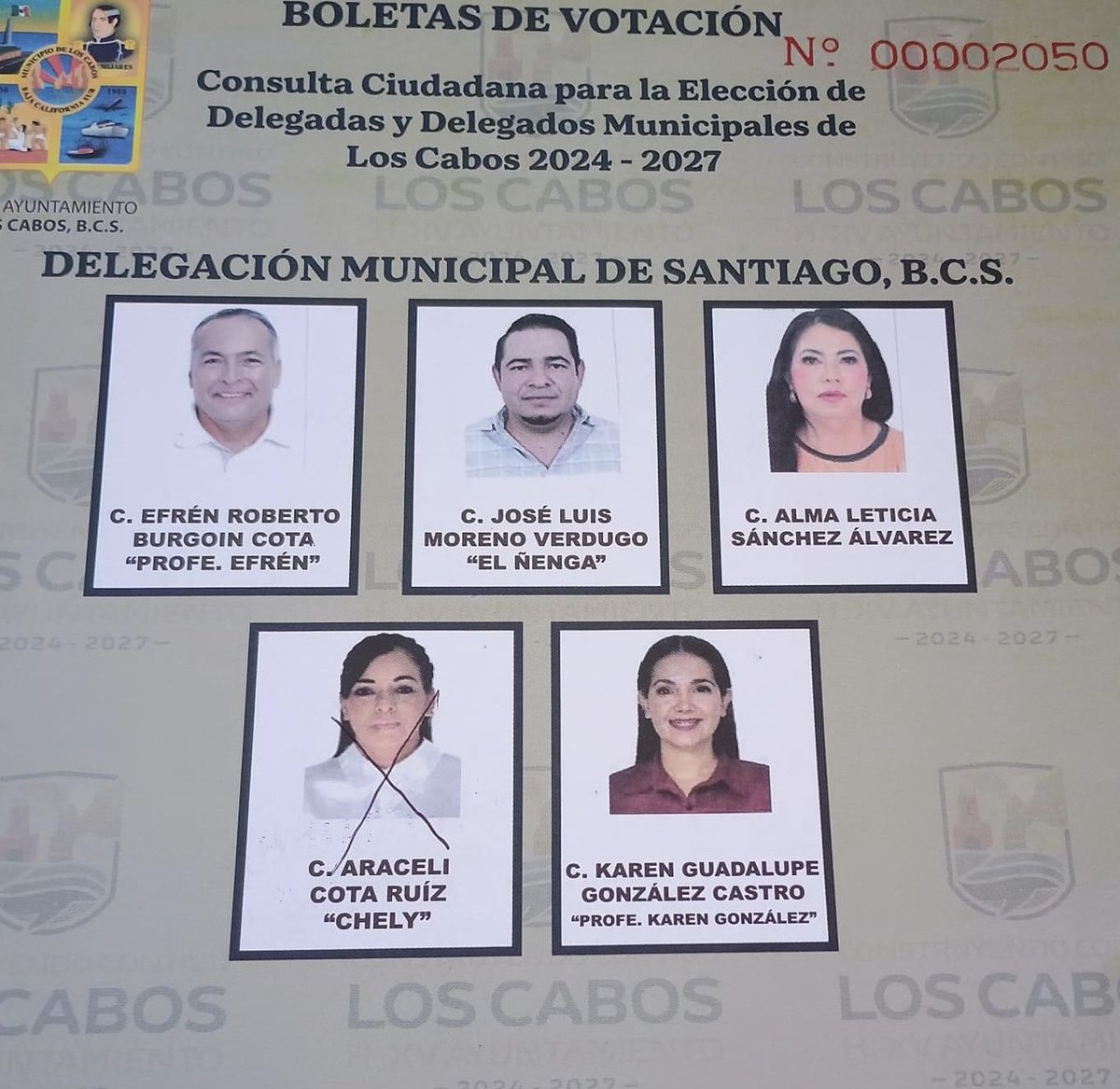 Resultados elección Delegado Santiago.