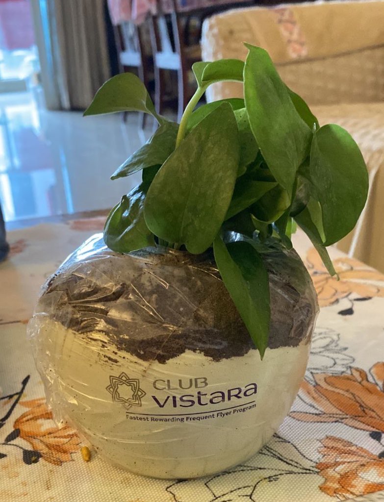 ChiragSamdaria's tweet photo. Never thought a brand departing could make me sad. @airvistara  you’ve set a remarkable benchmark of quality and consistency, kudos to the entire team. Always felt a sense of belonging when I flew Vistara. https://t.co/jHKBOxQNeD