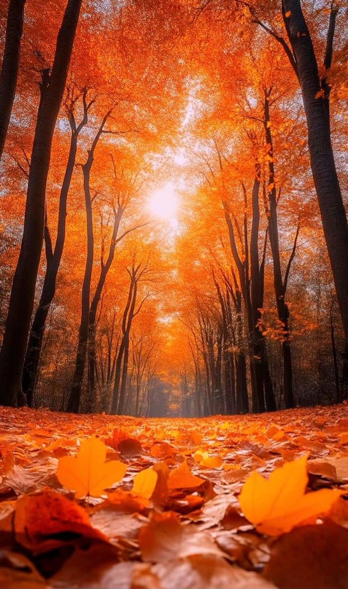 𝙎𝙞𝙧𝙪𝙨 tweet media