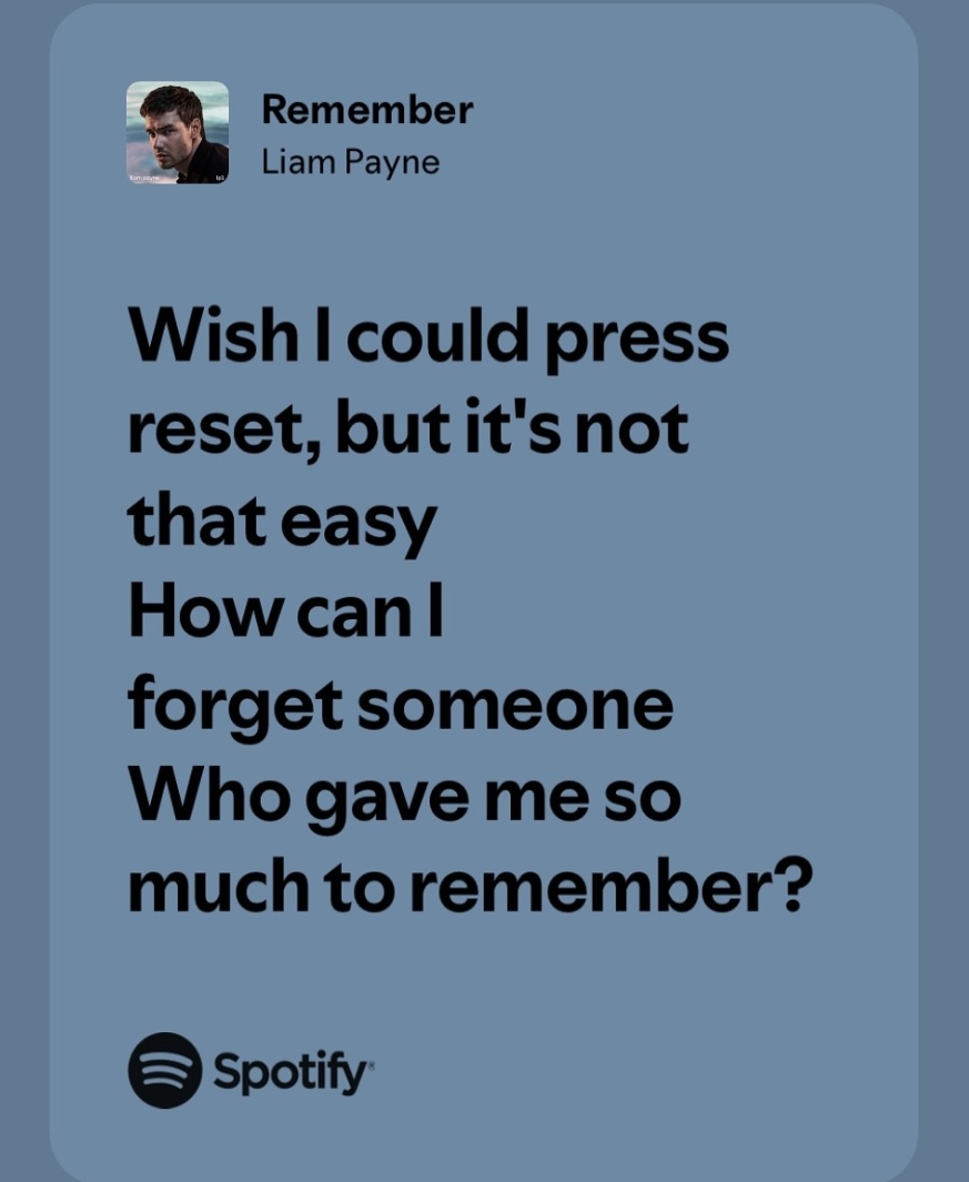 Directioner Forever¹ᴰ| rip Liam 🕊️ (@vishnubathla) on Twitter photo 