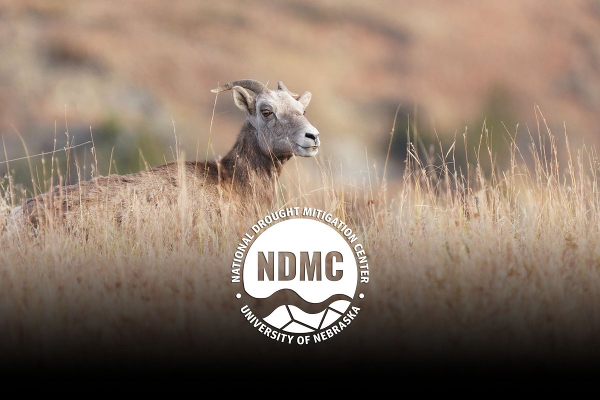 From Oct. 1 to Oct. 29, dryness and drought worsened dramatically across much of the Lower 48 states.

Read more in the October drought climate summary: storymaps.arcgis.com/stories/9c388a… 
 
 #drought #drought2024 #October2024 #climate #science #data #news #UnitedStates