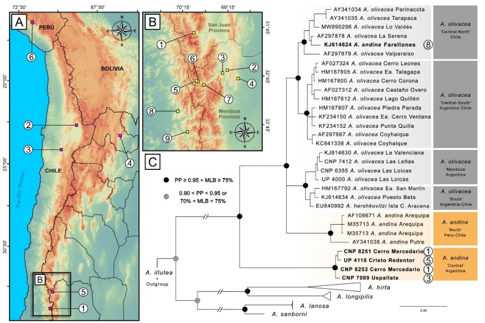 Mammal Research tweet media