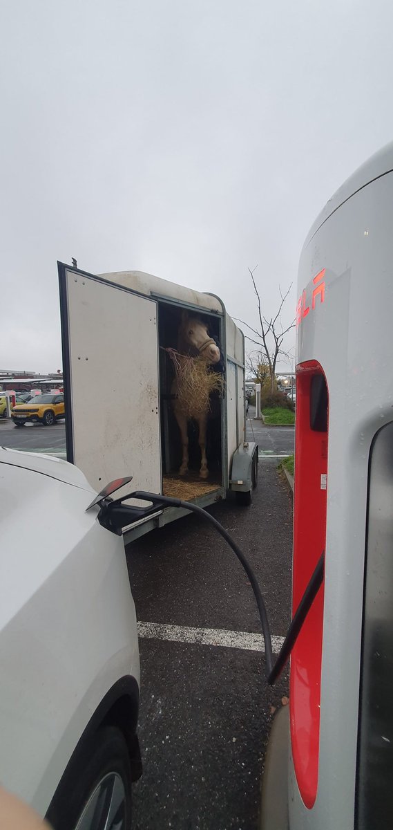 Benjamin Schönfeld Photography tweet media