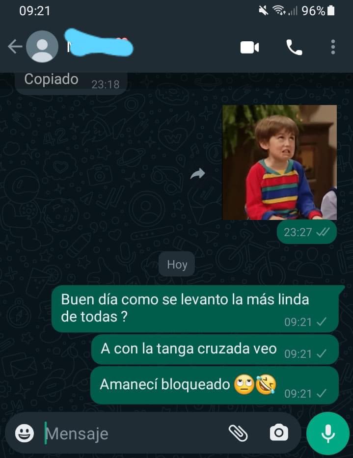 Alejo tweet media