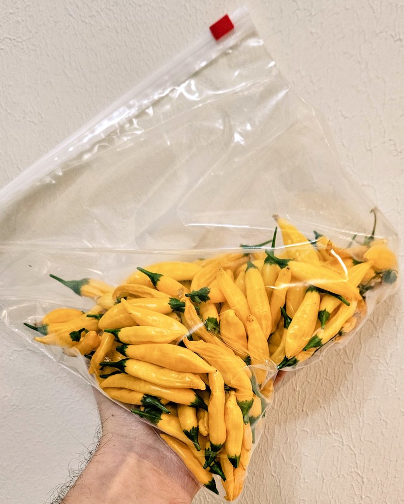 Pieglabāt sēklas stādiņiem?