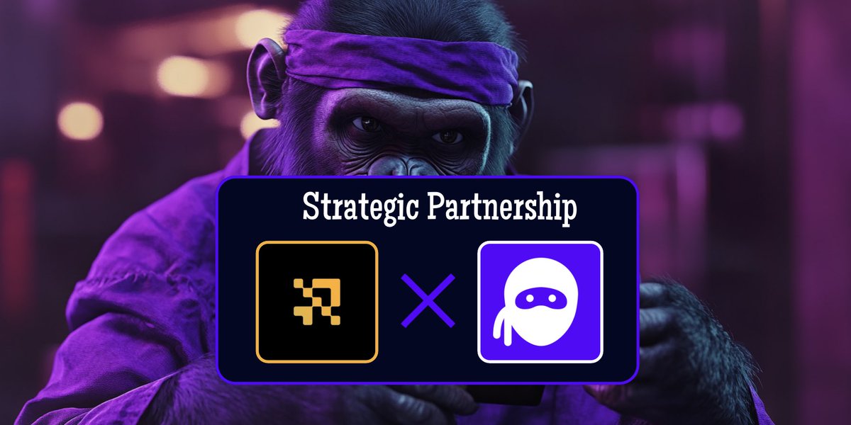 BtcTerminal tweet media