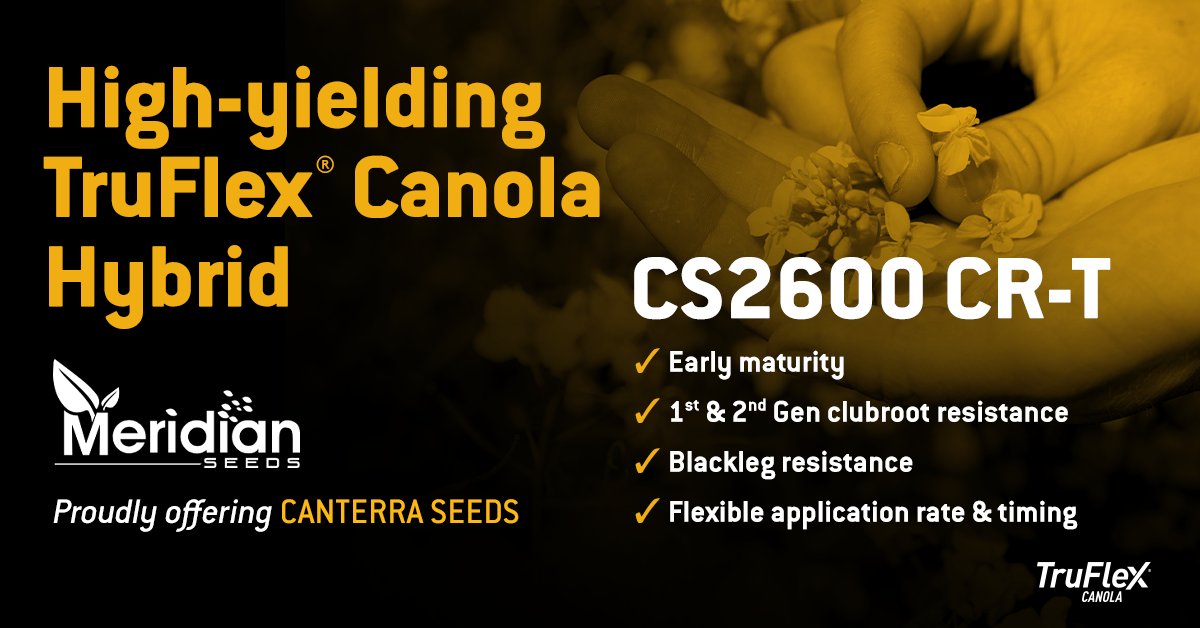 14m  ·
Who Needs Canola?! Superior pod shatter tolerance, ideal for straight cutting. A peak performer. Learn more and order for 2025: meridianseeds.com/.../canola-see…
#Canola #canolafields