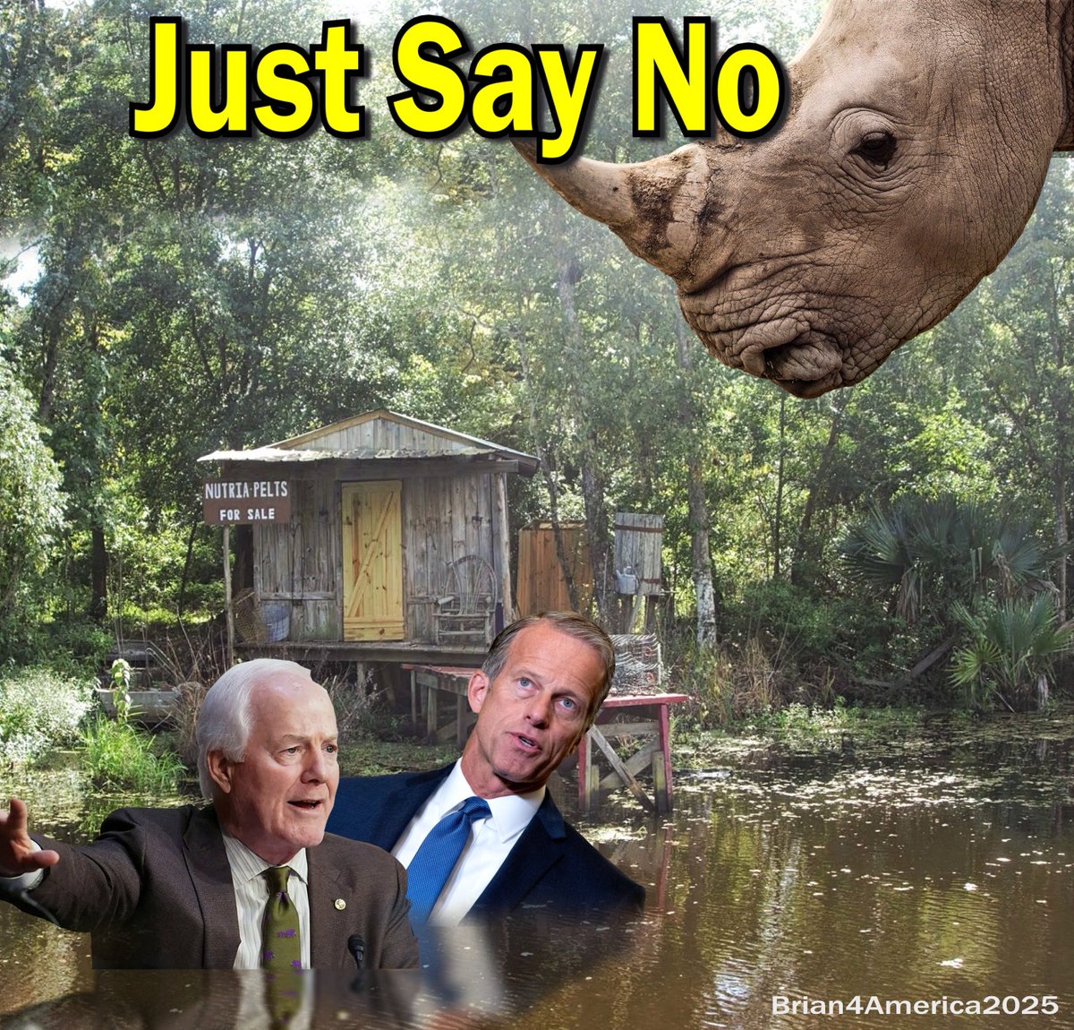 BBrown4America's tweet image. Just say no to #Thune #Cornyn