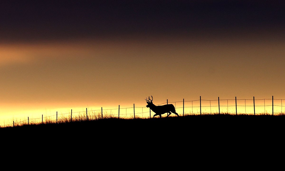 West of Billings, Montana at sunrise.