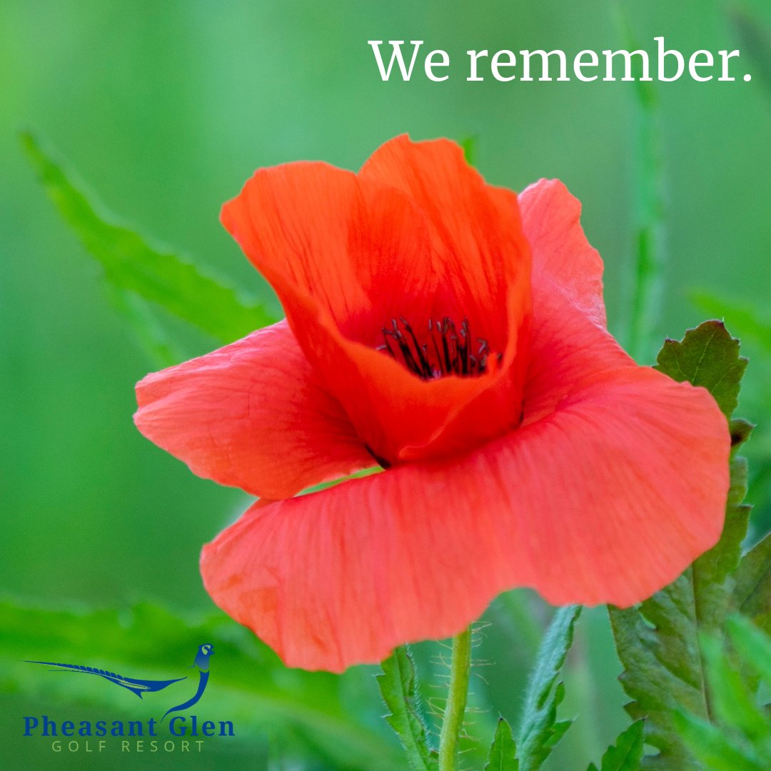 pggrgolf's tweet photo. Remembrance Day invites us to pause and appreciate the sacrifices made by our veterans and their families for our shared freedom and peace. 

Let’s take a moment to honour their significant contributions. 

🙏🏽  #WeRemember  #RemembranceDay  #November11  #RemembranceDay2024 https://t.co/QKbZOWpYqO